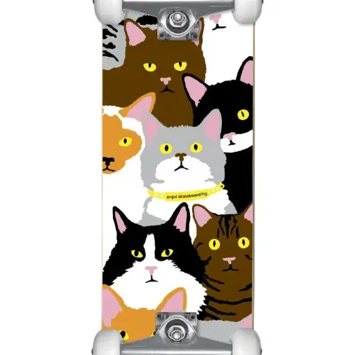 SKATE ENJOI