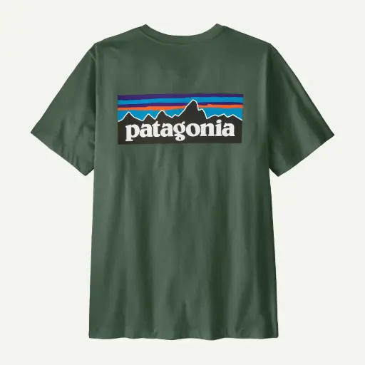 T-SHIRT PATAGONIA P-6 LOGO - CNGR